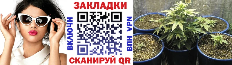 Сколько стоит Лесосибирск Альфа ПВП  ГАШИШ  Псилоцибиновые грибы  Бошки Шишки 